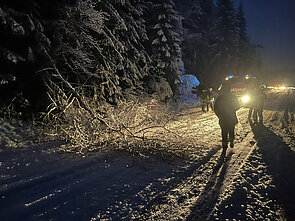 Feuerwehr Nittenau: Unwettereinsätze am 02./03.02.2023