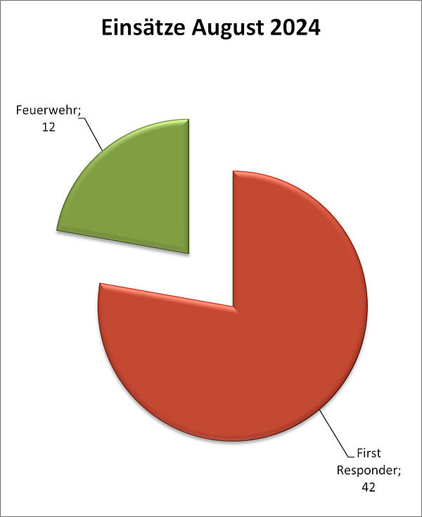 Einsatzstatistik August 2024