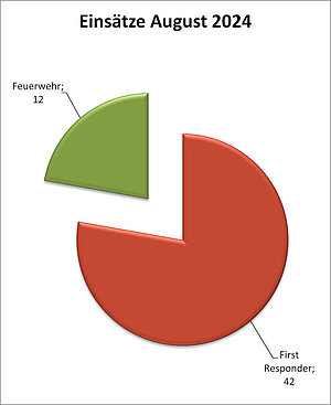 Einsatzstatistik August 2024