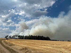 Großer Waldbrand am 11.07.2023