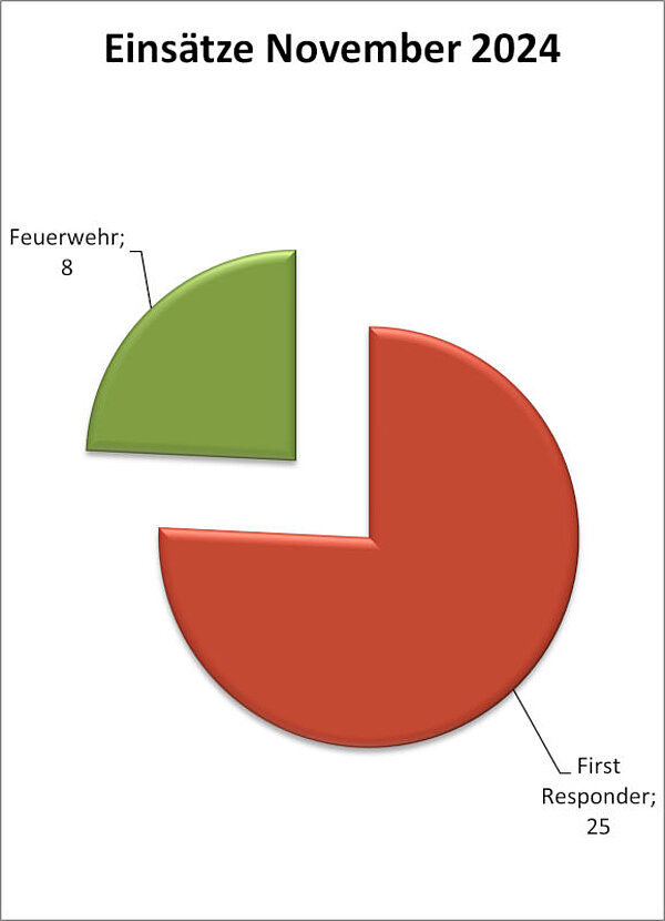 Einsatzstatistik November 2024