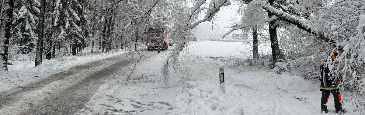 Header image incident